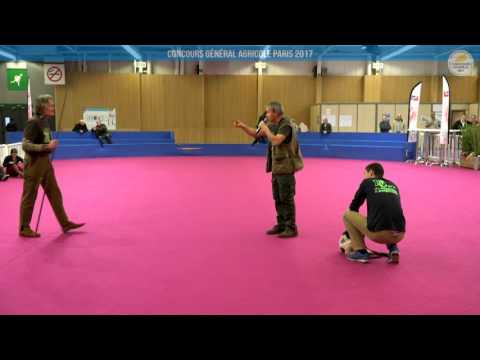 Voir la vidéo : Ring Canins du 02 mars 2017, partie 1