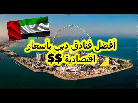 الفيديو