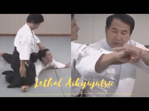 BRUTAL Daito Ryu Aikijujutsu arm breaking techniques and throws