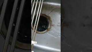 飲み物と冷蔵庫の中身_大学生