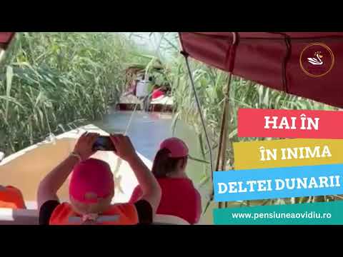 Excursii Delta Dunarii