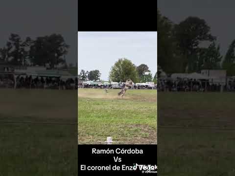 chicos Ramón Córdoba jineteo el potro más  famoso....el coronel #jineteadas