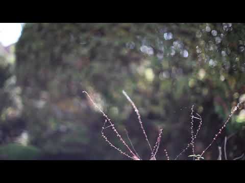 演奏・創作学科 インタールード：亜的児