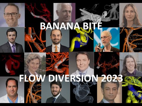 2023 10 30 Banana Bite Advanced Flow Diversion