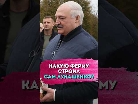 Лукашенко: Так скотину НЕ КОРМЯТ! // Какая ферма НЕ впечатлила Президента?