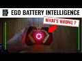 EGO 56v Battery Artificial Intelligence? or was it simply Self Maintenance?