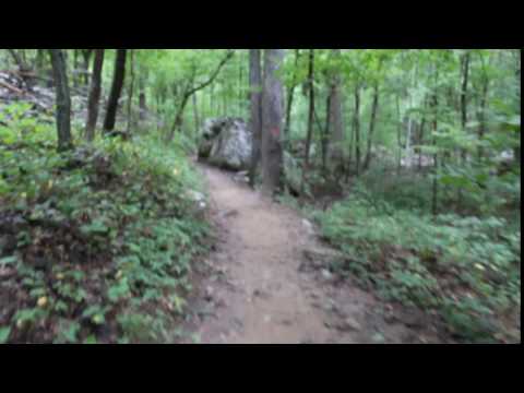 Tree covered + cloud covered = great trail experience