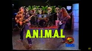 A.N.I.M.A.L. en Ruta Rock 1994 (completo) en vivo ANIMAL