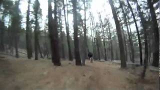 preview picture of video 'Mountain Biking Walkina Sky, Helena Montana - Large.m4v'