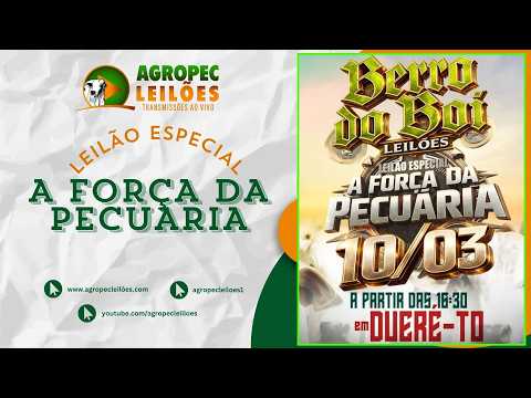 Agropecleiloes LEILÃO ESPECIAL A FORÇA DA PECUÁRIA | BERRO DO BOI LEILÕES - DUERÉ -TO -10/03/2026.