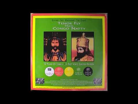 Tenor Fly meets Congo Natty   12 yrs of Jungle