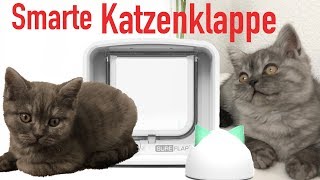 DIE ERSTE SMARTHOME KATZENKLAPPE!!