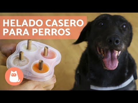 DOG ICE CREAM - Homemade Ice Cream in 5 Minutes