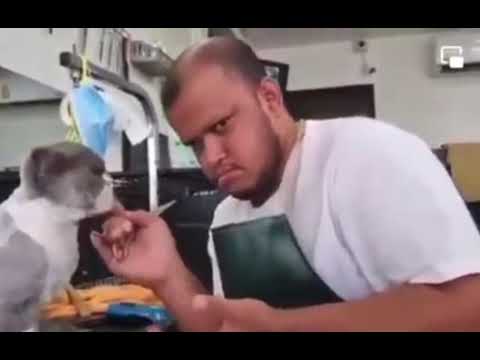 made by meee @sagnikchakraborty32it53