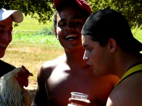 renan, foguinho, flavio e o galo