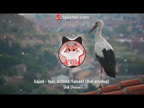 Łajzol - Jak Bocian feat. asthma, Falcon1 (Dnb mashup)
