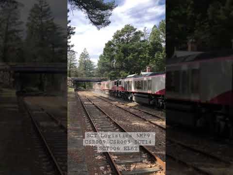 TRAINS AM22 SCT Logistics 5MP9 CSR009 CSR003 SCT14 SCT006 EL62