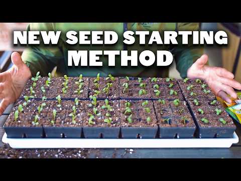 My NEW Favorite Seed Starting Method 🌱🌱🌱