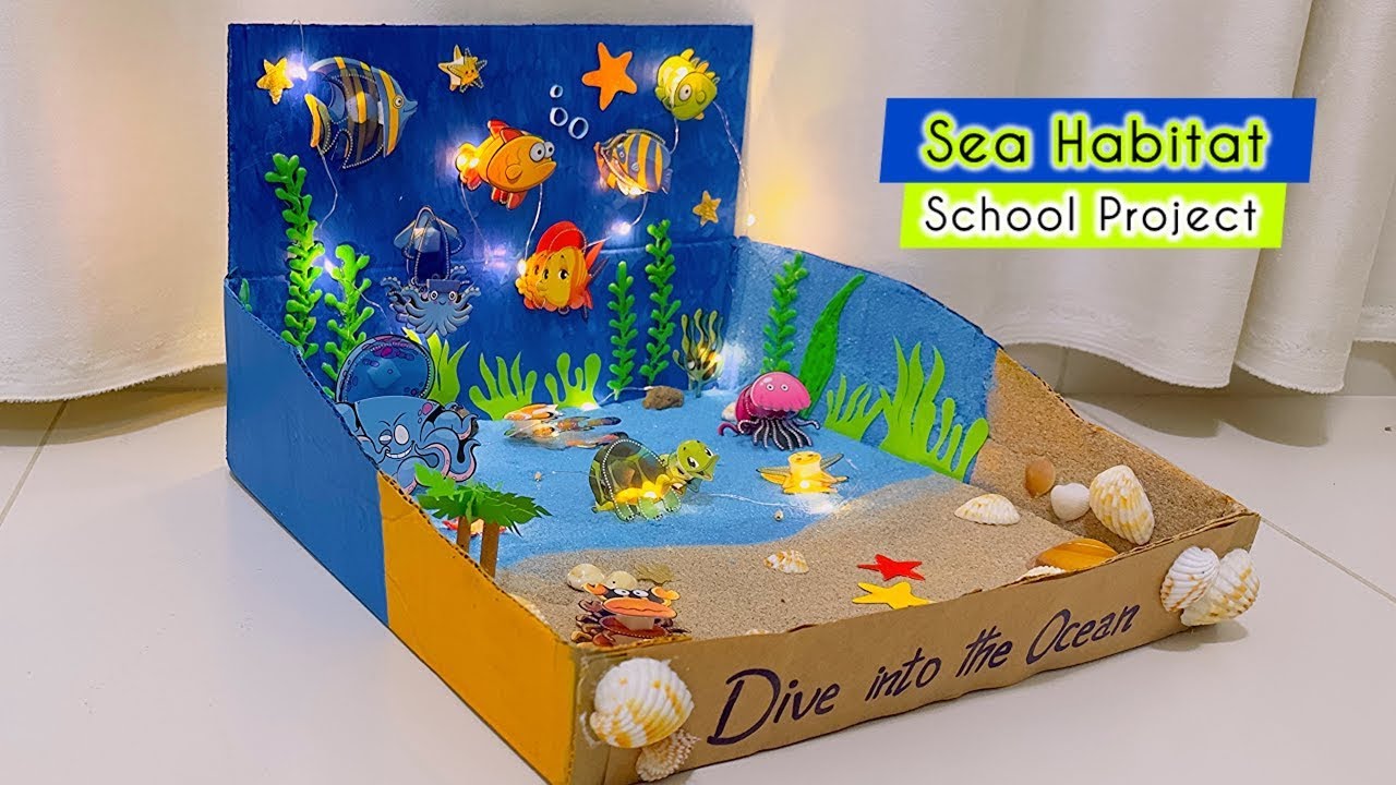 Sea Habitat Model | Ocean Model School Project | Ocean Diorama | Sea Model | DIY School Project