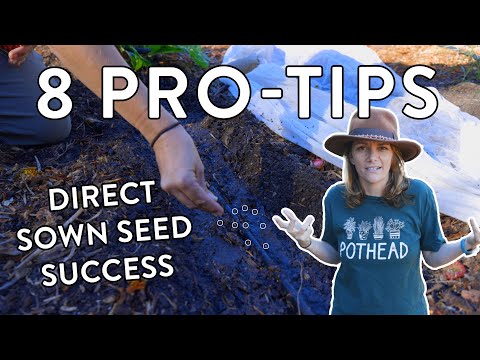 8 Game-Changing Steps for Direct Sowing Seeds (Beginner-Friendly!)