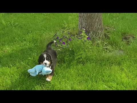 Yasmina Berner Sennen first hour at new home