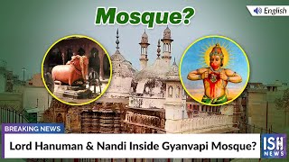 Lord Hanuman & Nandi Inside Gyanvapi Mosque?