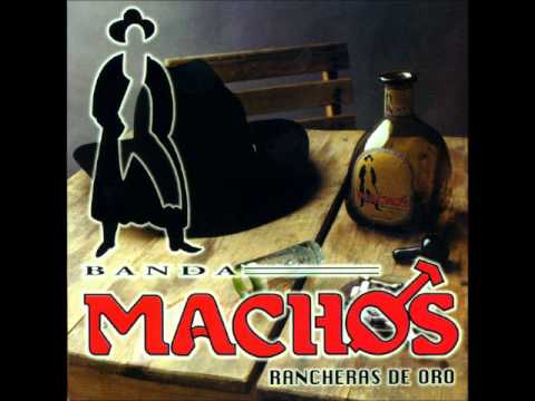 Banda Machos, Ingratos Ojos Míos