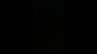 Sesame Street - Felines (PAL)