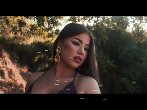 Trajbo × Geanina Love story official lyrics video