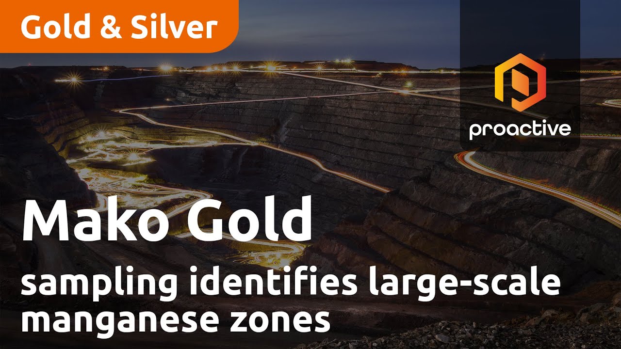 Mako Gold sampling identifies large-scale manganese zones