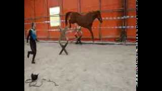 We've come a long way since that day... ~ Bady