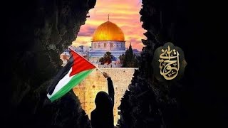 صورة فهم لا عهد لهم ولا ميثاق | للشيخ الحويني