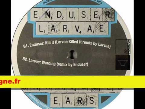 Ad Noiseam 61 - Enduser & Larvae
