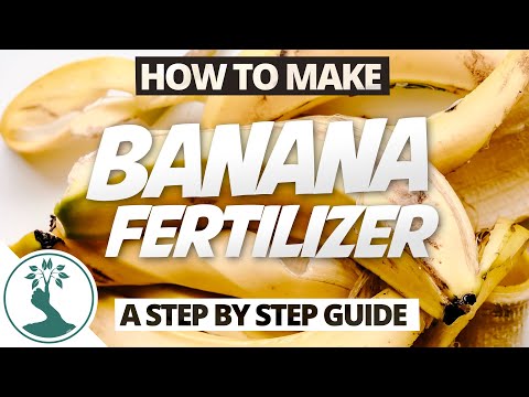 How to Make Banana Peel Fertilizer Step by Step FAST & EASY - Free Organic Fertilizers