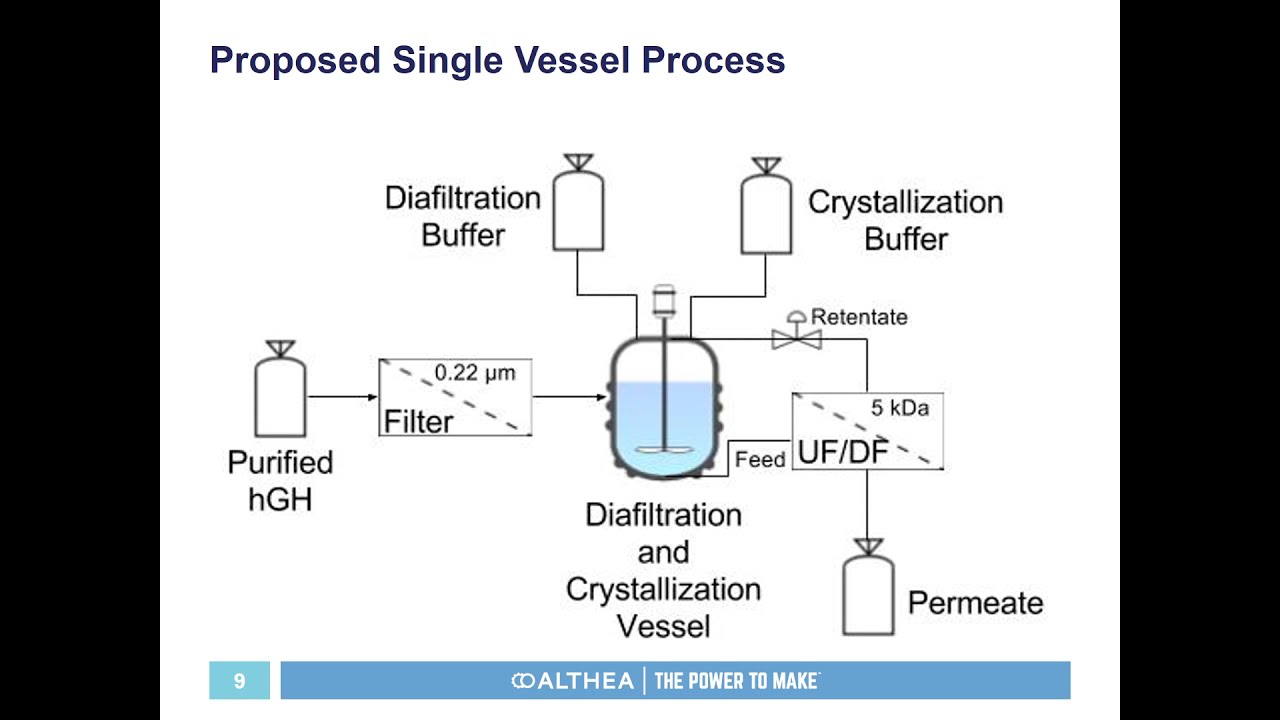 Monitor a Single Vessel Batch Protein Crystallization Process | Webinar
