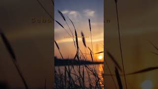 Download lagu semua tak sama ( lirik) #padi mp3