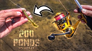 DO NOT Fish This Lure In YOUR Pond… (200 Ponds Ep. 28)