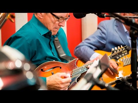 Pearl Django 'Donnybrook' | Live Studio Session