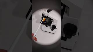 Download lagu Examining a Toothbrush Under a Microscope mp3 Download lagu Examining a Toothbrush Under a Microscope mp3