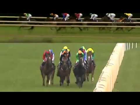 18.08.2013 Hannover 5.Rennen Großer Preis der Dr. Klein & Co. AG - Listenrennen (A) 2.200 m