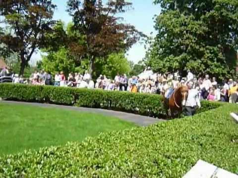 Araber-Rennen Iffezheim 2012 Führring