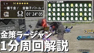 【MHRSB】# 36 金策ラーをソロ1分周回立ち回り＋装備解説【ゆっくり実況】