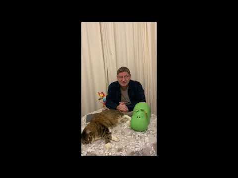 2 марта в Новокузнецке 2020 год
