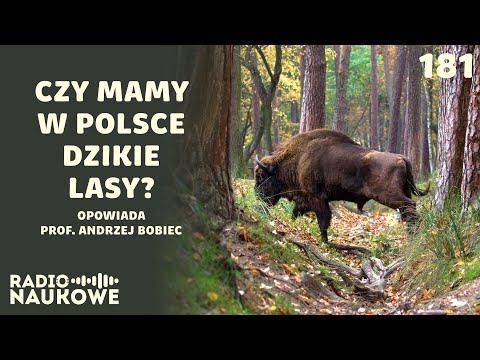 , title : 'Polskie lasy - czy da się w nich pogodzić ekologię z ekonomią? | prof. Andrzej Bobiec'