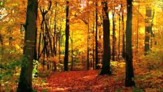 Through it All-Hillsong (Instrumental)