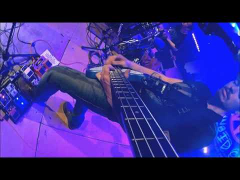 Paranoid Cats - Buzzerie finale