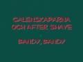 Galenskaparna och After Shave - Bandy, Bandy ...
