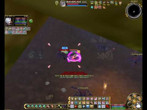 [FlyFF/KOR] The first 170 Force_Master  !!