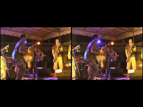 3D Live Music - Afrodizz @ Grand Parc Bordeaux (08/07/2010) Extrait 06