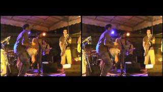 3D Live Music - Afrodizz @ Grand Parc Bordeaux (08/07/2010) Extrait 06